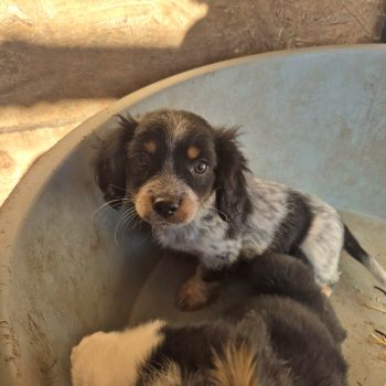 606001146 1198295011772329 498201310941658496 n