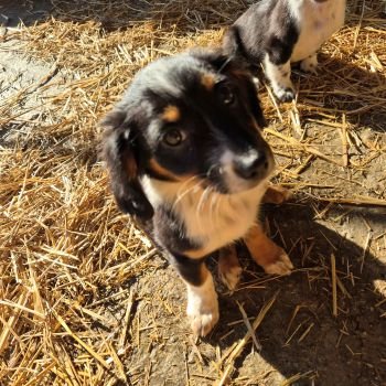 606078179 811683738575151 8359569729601752416 n