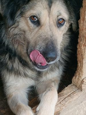 606185993 1501100174314585 1250457105366787693 n