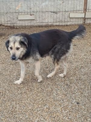 606462679 907723588386577 3815401551262794994 n