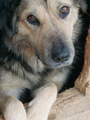 606962094 1907536226504091 4548239885424164277 n