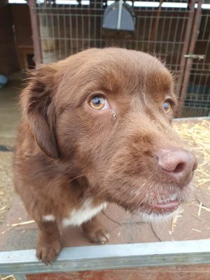 606969410 26088327064098713 2796125540604817178 n