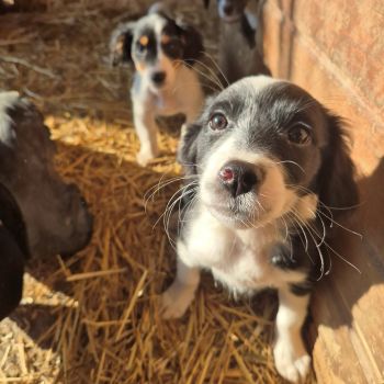 606988165 901520282538178 110268647932989851 n