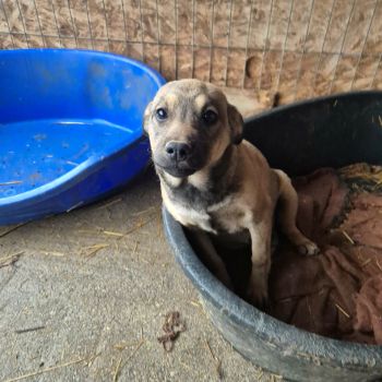 606998466 915385597714865 336898048066503536 n