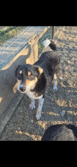 607525029 2547171735683352 4930958712509103055 n