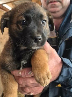 607541961 1810785352904942 1994480439154405075 n