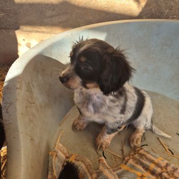 607560423 849800954507287 2793387316134137533 n