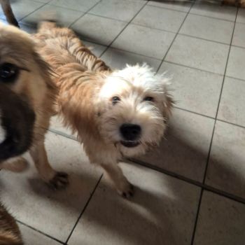 607611530 1374969260555365 7114547548423517393 n