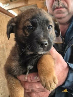 607637208 1416309970092171 378389334884655575 n