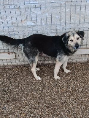 607791126 1521019653366152 7387509129818167414 n