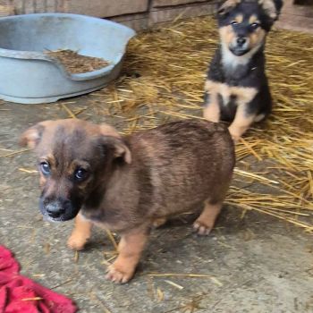 607852986 1164388969198386 7502033468213149045 n