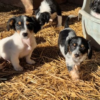 608117068 1190946119297844 2831325368223995167 n