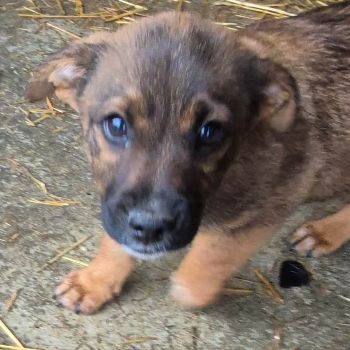 608838759 871524041949491 1953824323430160622 n