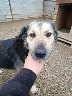 609292173 731261429629222 5109797863109241497 n