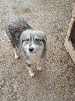 609380012 1561938955121869 921083217729900072 n