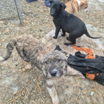 609385491 1383830453226247 816064958444350968 n