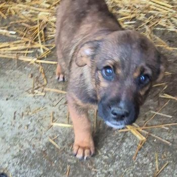 610186791 1493541185065393 7361914433909222982 n