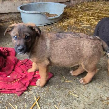 610220327 887832407268404 5755935491477869627 n