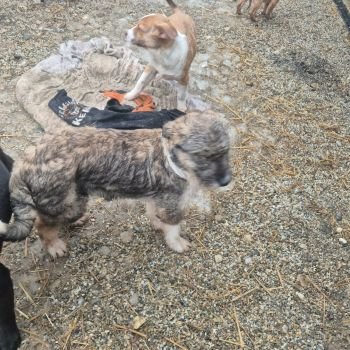 610510389 890737260552130 3388637559613373079 n