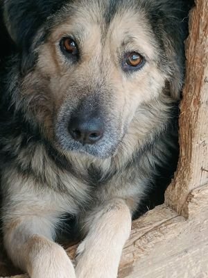 610835033 1234533615207284 6278723118005179512 n