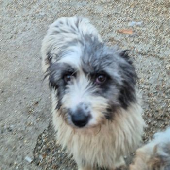 610856768 892529429936916 7026783106200674801 n