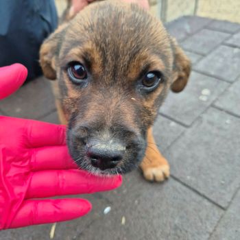 611006061 1412324433773824 4214094696166826627 n