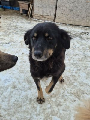 611657117 1766080604065205 7421707777806554032 n