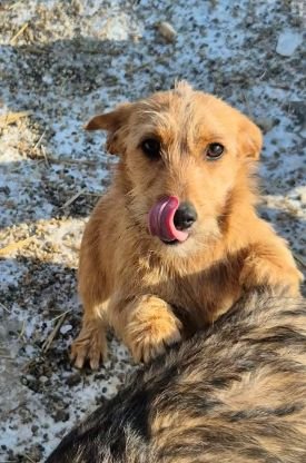 611985235 1508324153571806 8169155033558071059 n