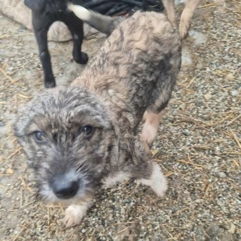 612258857 840894888953578 7527559717923238311 n