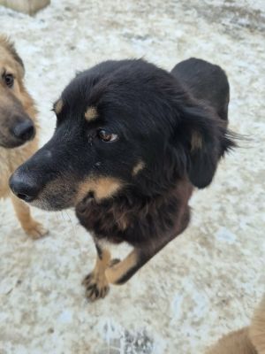 612834286 867089922774711 48525814603945138 n