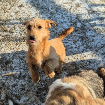 612856887 3876734245952821 5469842700575418482 n