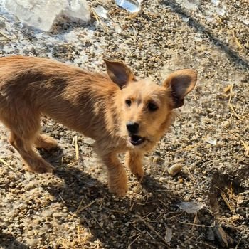 613227516 1663314104640313 2785983723662966277 n