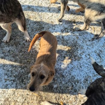 613368223 4056798367964367 8223575720633473657 n