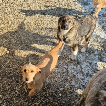 614852501 1805503720111070 4421881055508918251 n