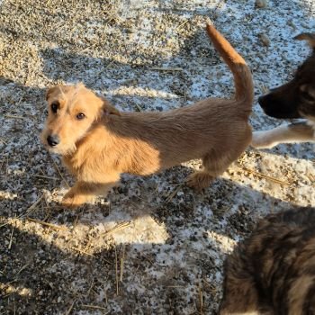 615457689 1523951942031860 4575370977284947660 n