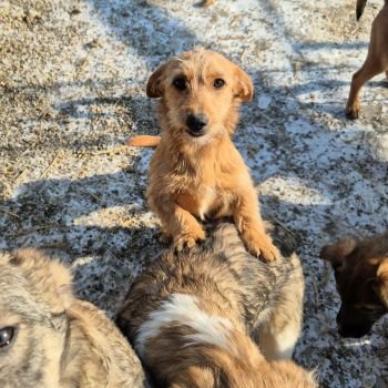 615468573 1206754878278708 994904303623599088 n