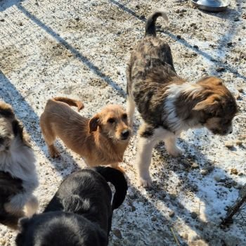 615634229 926912509907973 749762426548154858 n