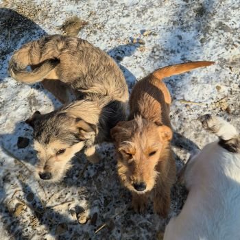 615857500 745797628138482 8290738916530238632 n