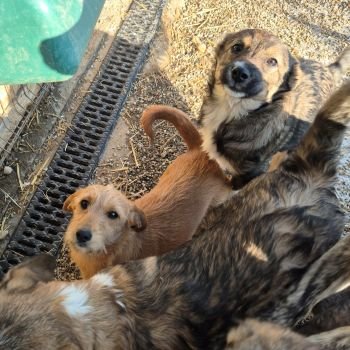 616664590 1870933013790320 2155794517351359604 n