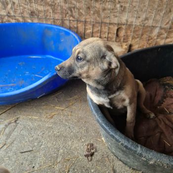 616803729 1947455219506342 5862011221304386461 n