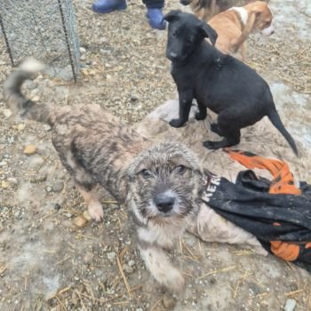 616837271 2124715671602940 2487008995494543011 n