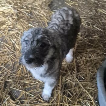 617531368 1589344608866128 3669505608833937448 n