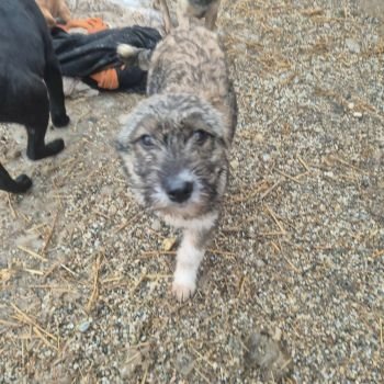 618100326 895698633110341 1334543911079418178 n