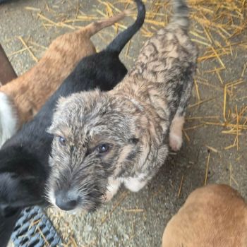 618126081 1557158075552439 9201038109027951348 n