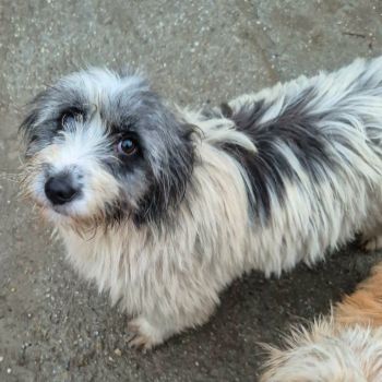 618139551 1604037343939631 5522708551669878503 n