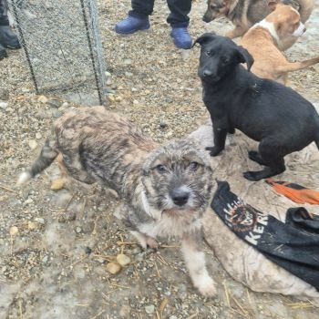 618268722 1463033928583934 7702504996349274011 n