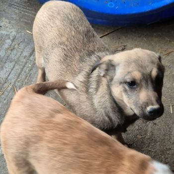 618637668 2607050189673842 5020425299448695950 n