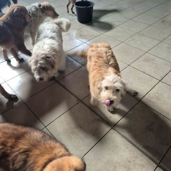 618727560 884979144280511 5955338144273033966 n