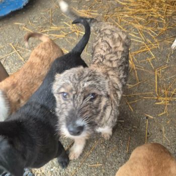 619107052 1631349227865458 8084120655599133986 n