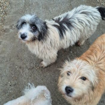 621704245 748407484990102 3964377342357561154 n